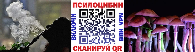 наркошоп  Томмот  Галлюциногенные грибы Cubensis 